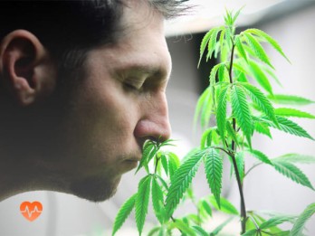 Детоксикация от марихуаны в Запорожье
